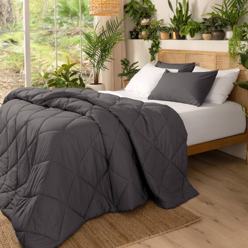 Ivy Union Microfiber Comforter Set