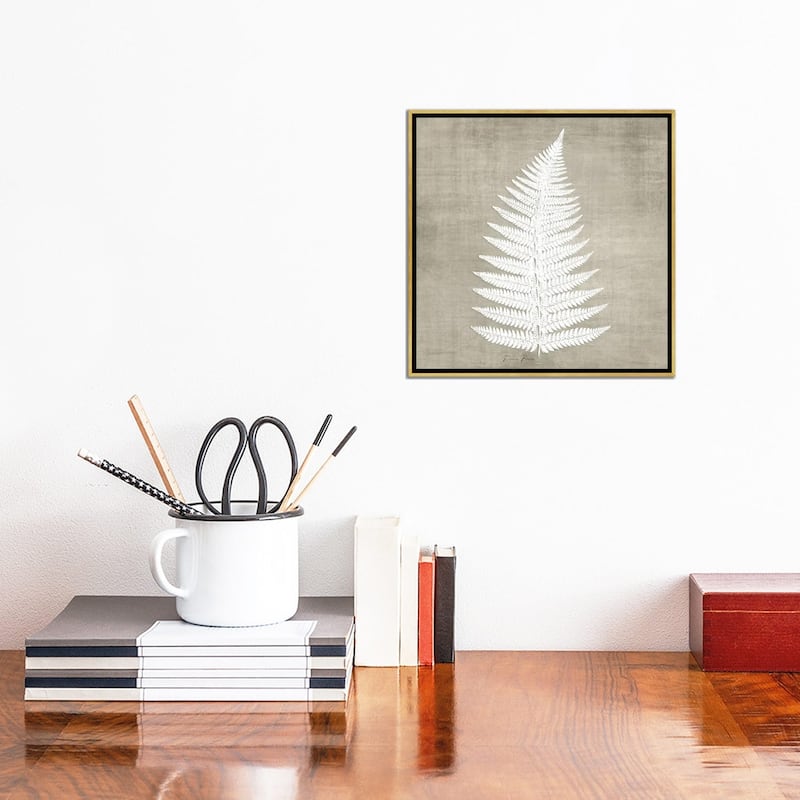 iCanvas "Natures Fern I" by Denise Brown Framed