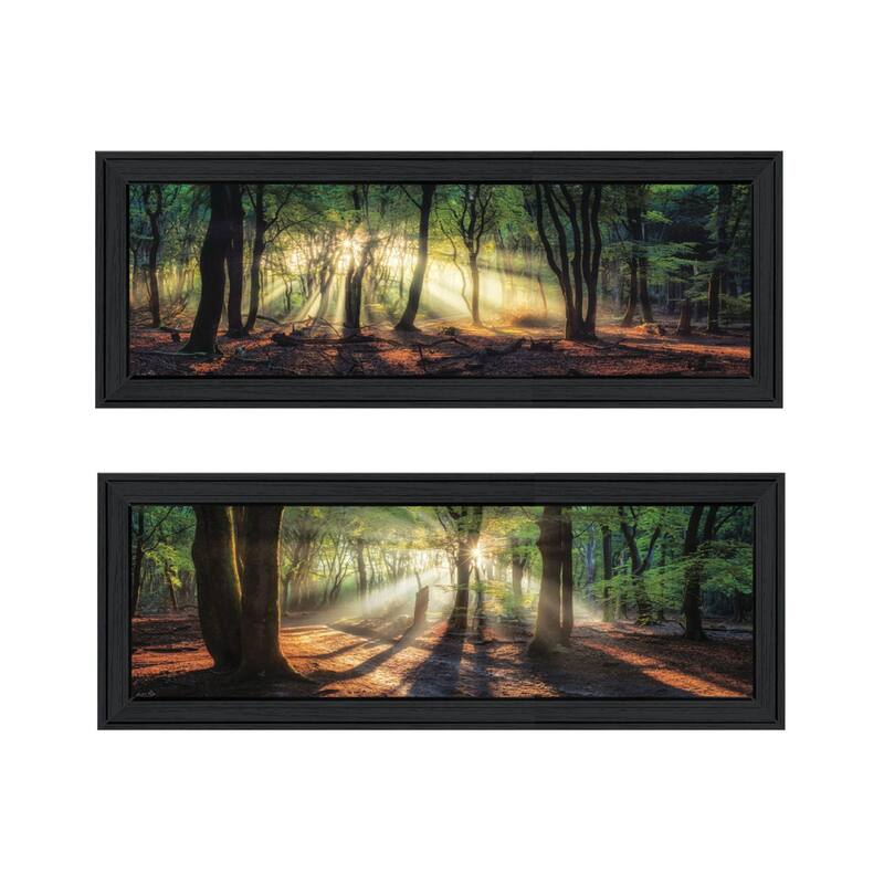 Trendy Decor 4U "Sun Rays in the Forest" Printed Framed Wall Art by Martin Podt - 39 x 15 - Charcoal