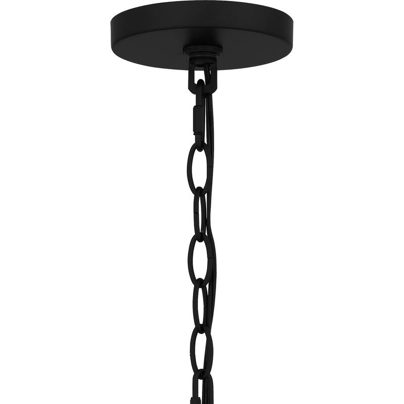 Buckley 1-Light Matte Black Outdoor Hanging Lantern