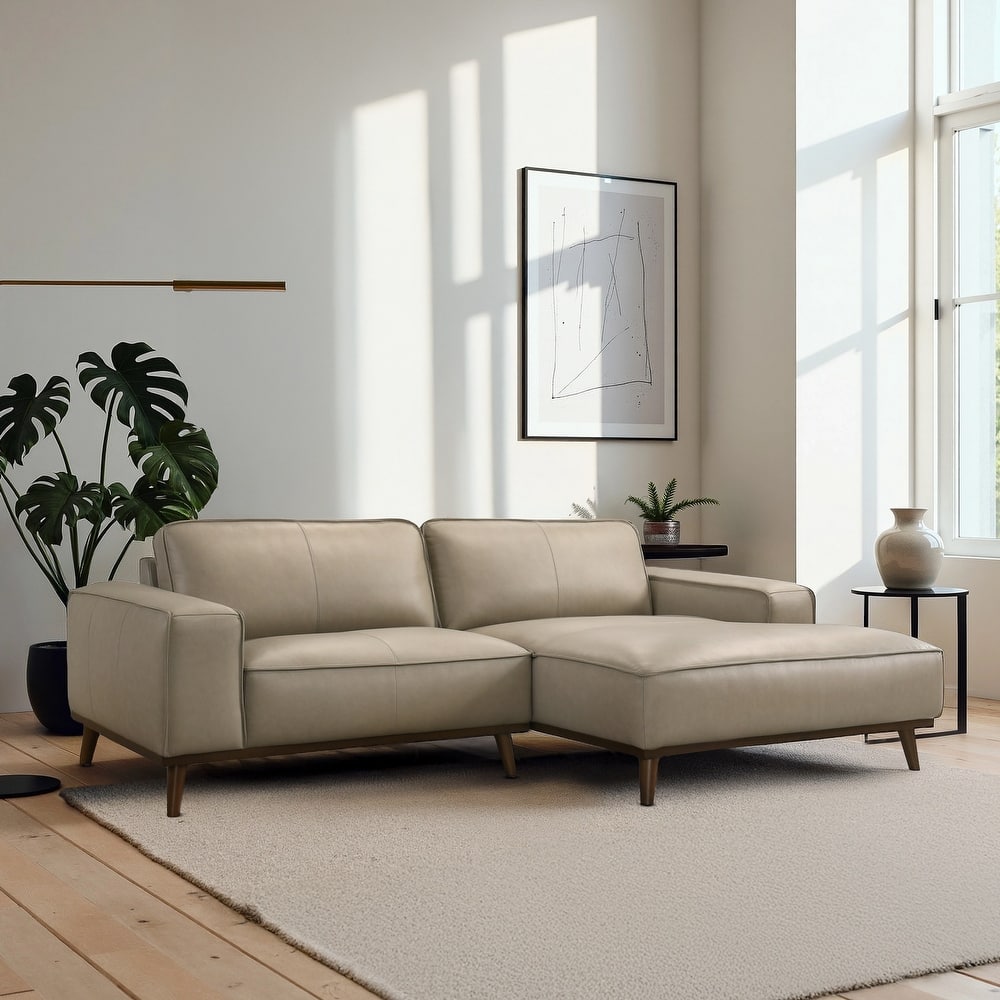 Dayton Genuine Leather Sectional with Chaise