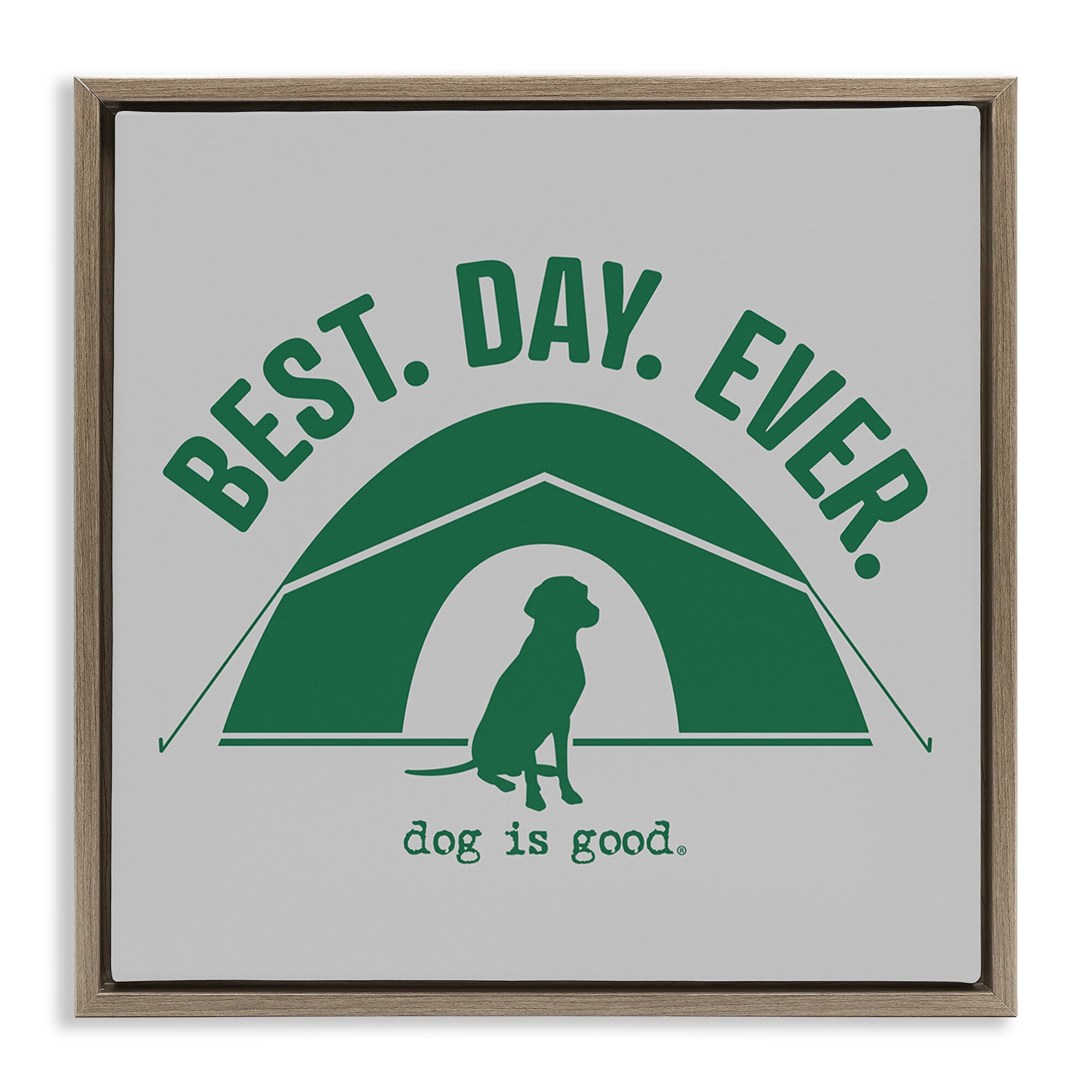 Stupell Best Day Camping Dog Framed Floater Canvas Wall Art Design By Dog Is Good