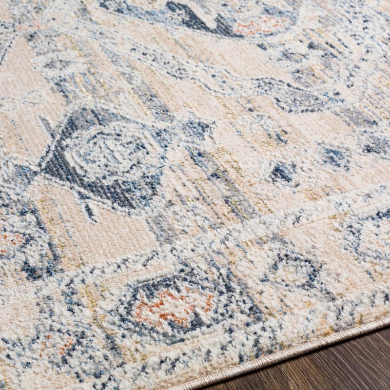 Livabliss Kambiz Vintage Traditional Area Rug
