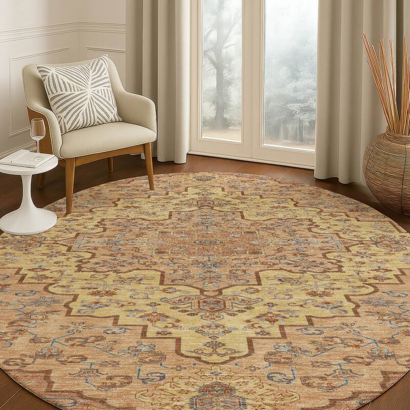 Machine Washable Indoor/ Outdoor Traditional Karachy Chantille Rug