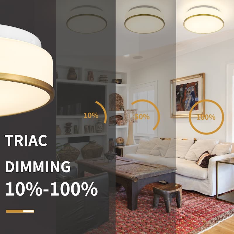 Flush Mount Ceiling Light with Frosted Glass Shade - N/A