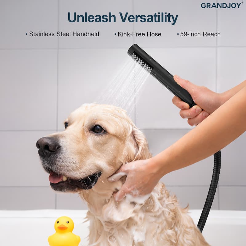 GRANDJOY Dual Shower Kit with Round Rainfall Head and Hand Shower, Lever Control Valve