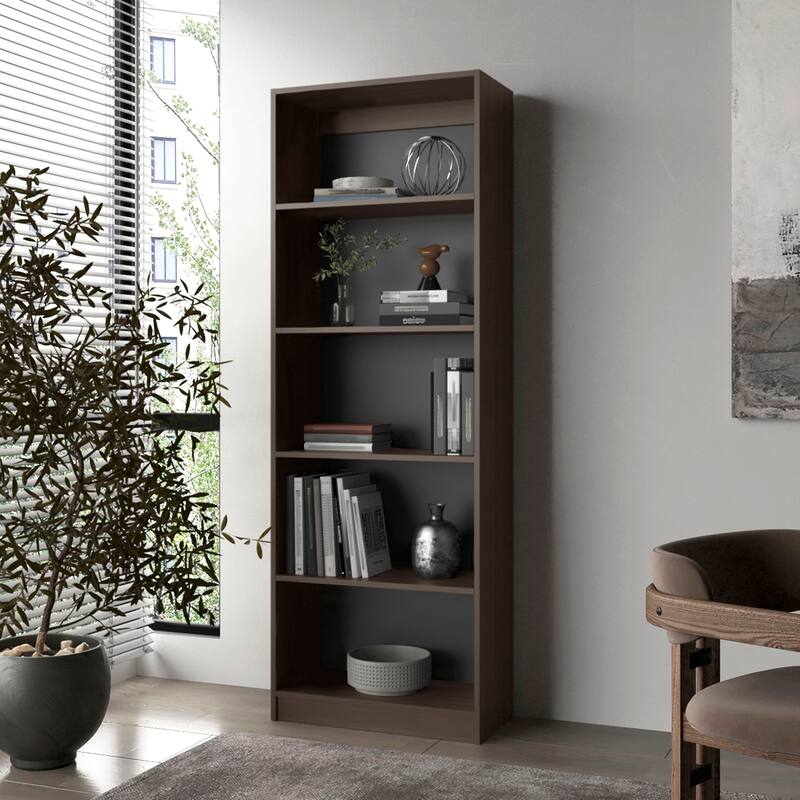 Stained Walnut Bookcase with Open Storage and 5 Shelves - Walnut