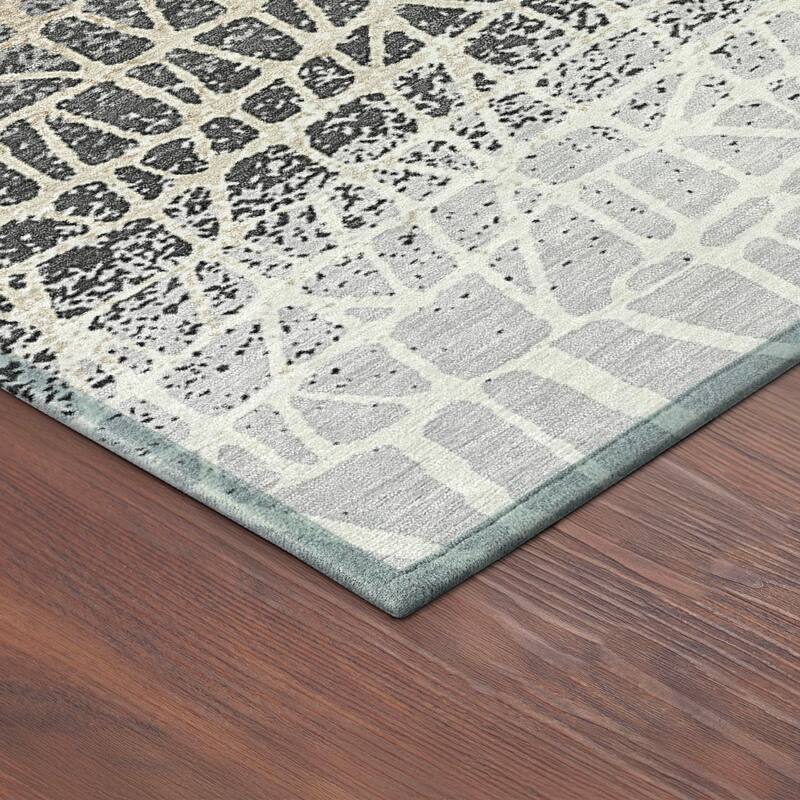 Machine Washable Indoor/ Outdoor Boho Global Chantille Rug
