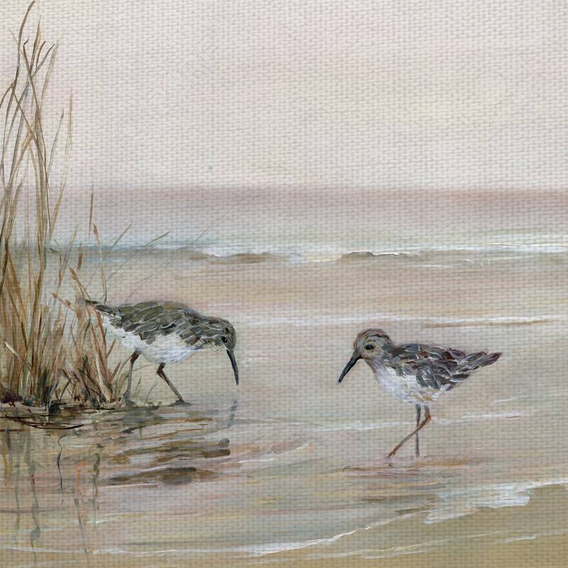Early Risers I & II by Sally Swatland Canvas Art Prints