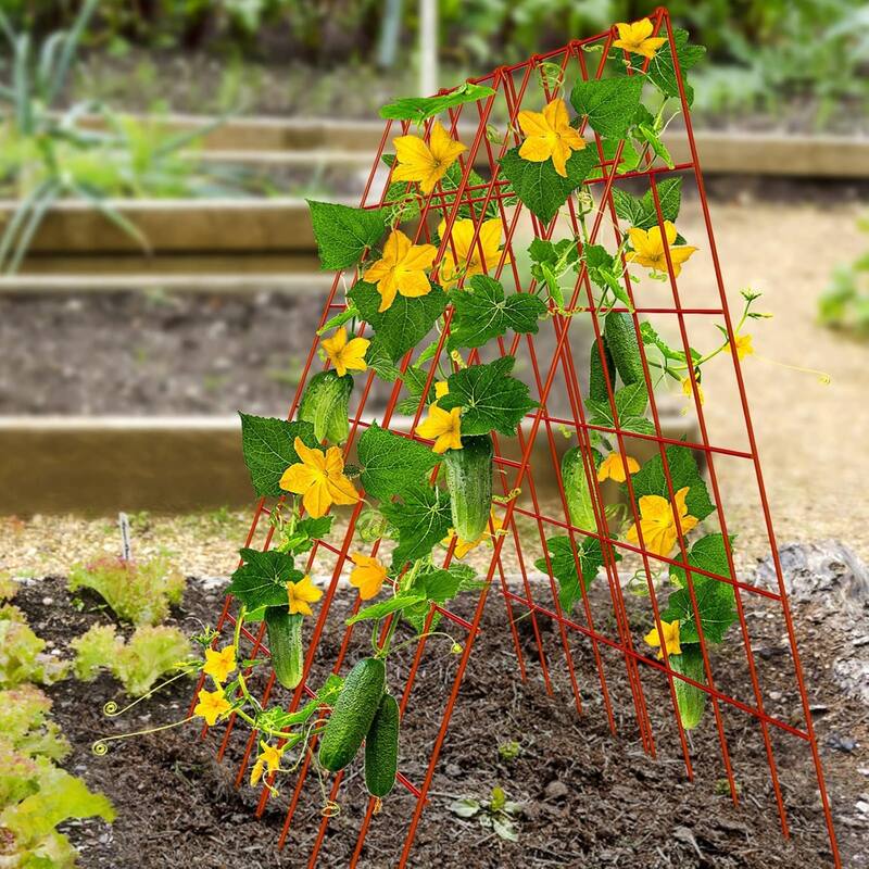 Foldable Cucumber Trellis, Outdoor Garden Trellis for Climbing Plants