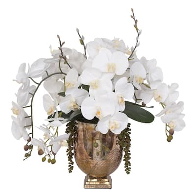 Real Touch White Phalaenopsis Orchids with String of Pearls in Vase - 21W x 19D x 22H