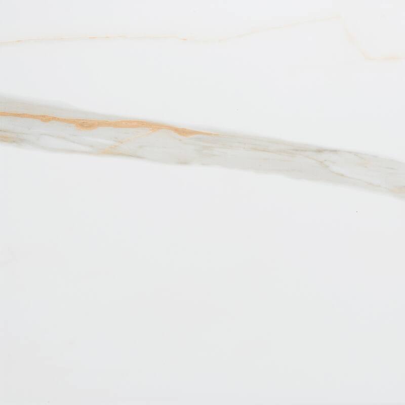 The Tile Life Chronos 13x13 White/ Gold Matte Porcelain Floor & Wall Tile