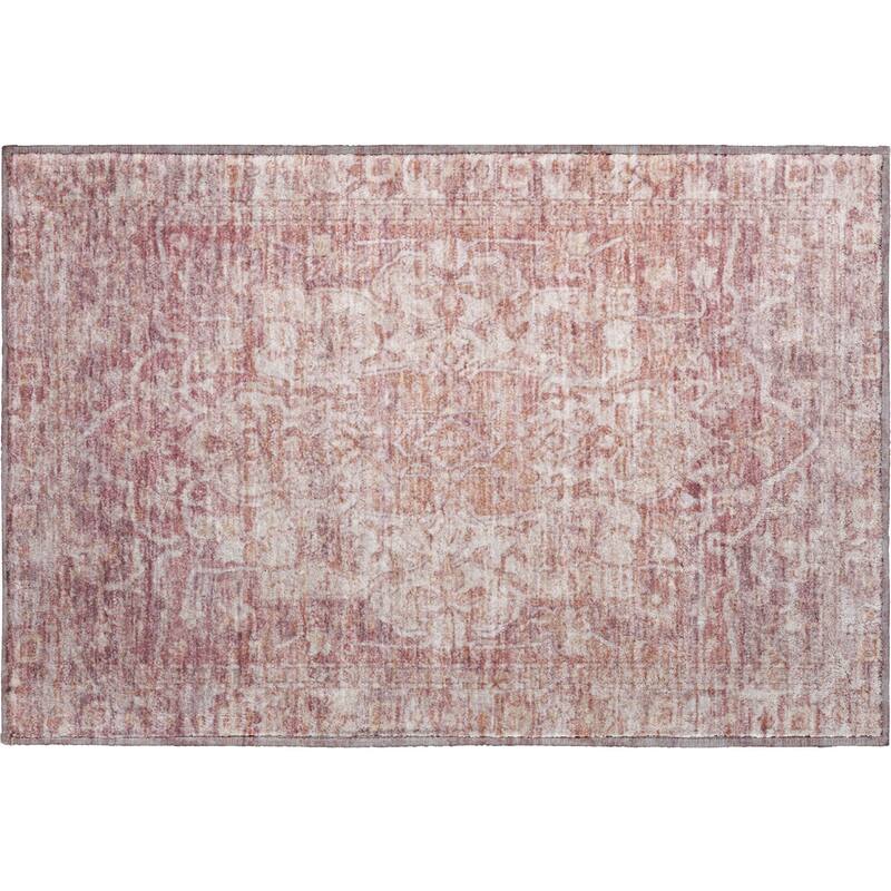 Premium Washable Super Soft Vintage Traditional Mayfield Rug