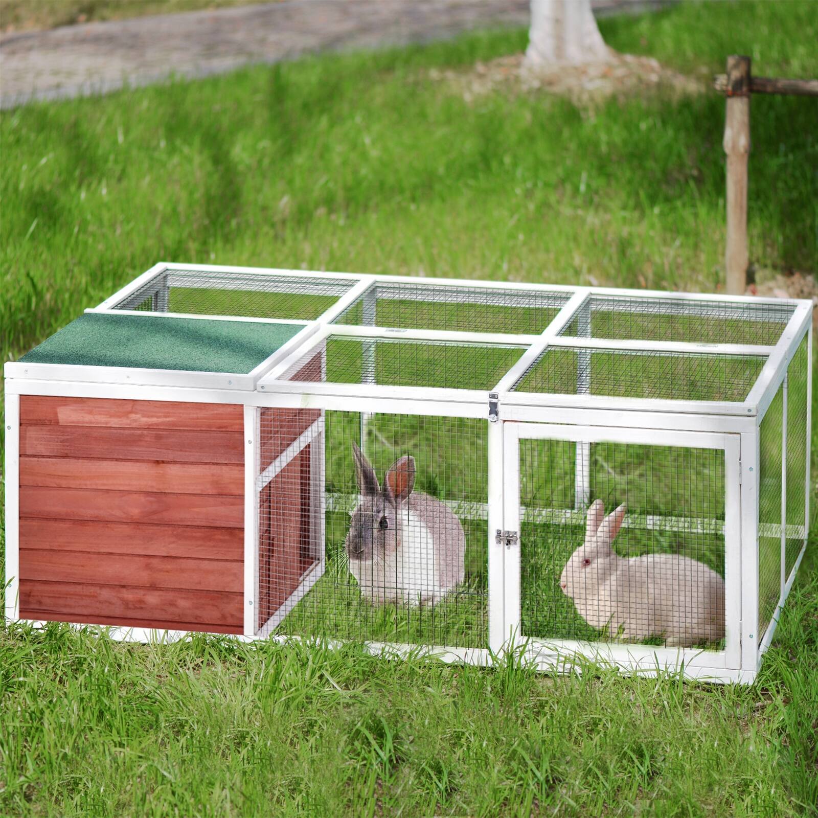 guinea pig outdoor playpen
