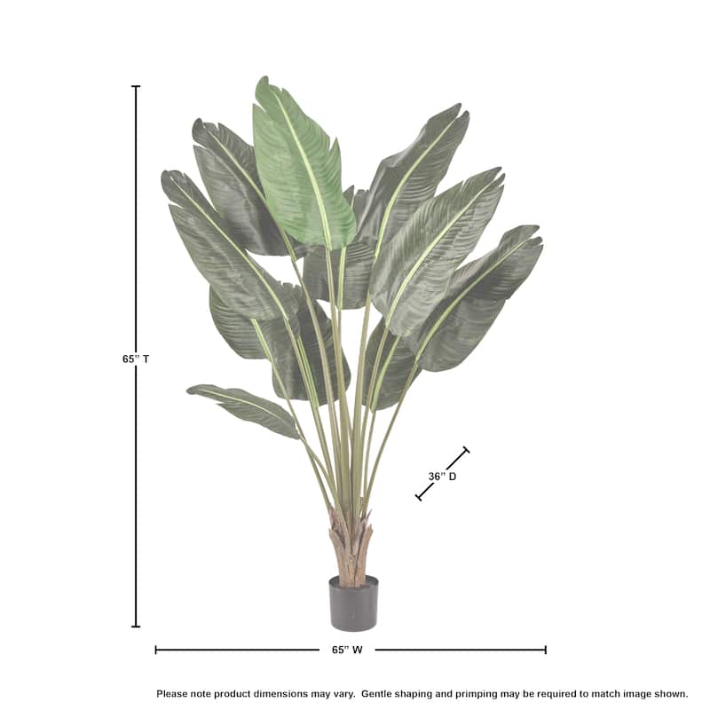 Potted Uv Treated Deluxe Traveler's Palm 5'