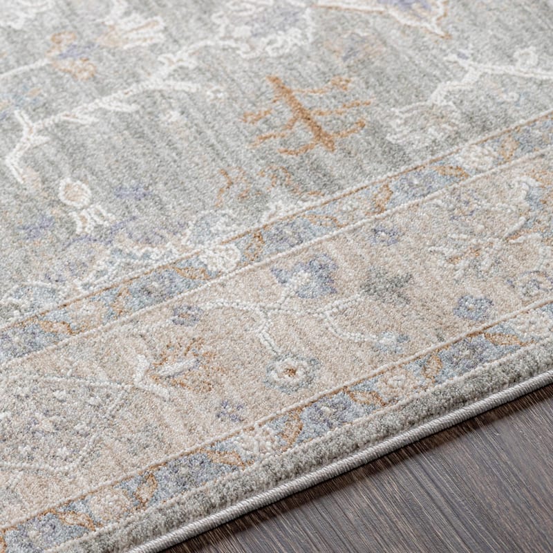 Hunza Updated Traditional Medallion Area Rug