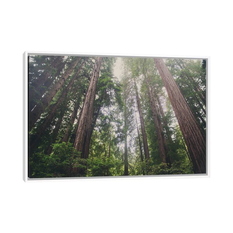 iCanvas "Muir Woods" by Laura Evans Framed Canvas Print - White - 18x26