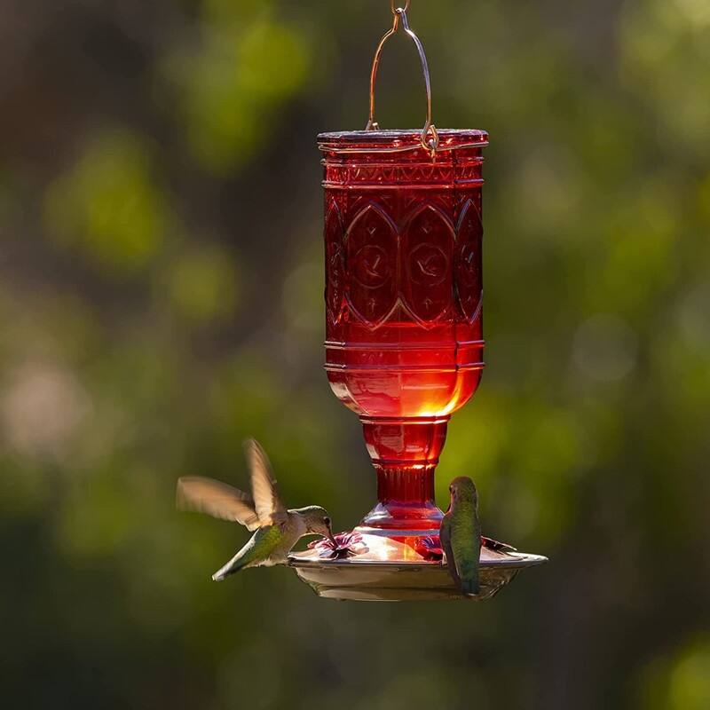 Glass Hummingbird Feeders for Outdoors Bed Bath & Beyond 37986581