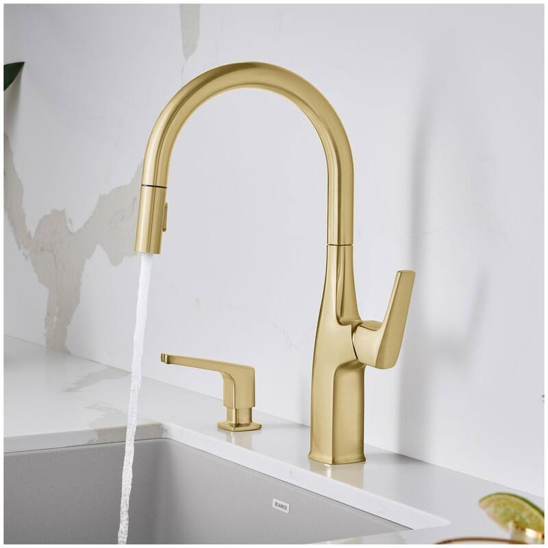 Blanco Rivana 1.5 GPM Single Hole Pull Down Kitchen Faucet
