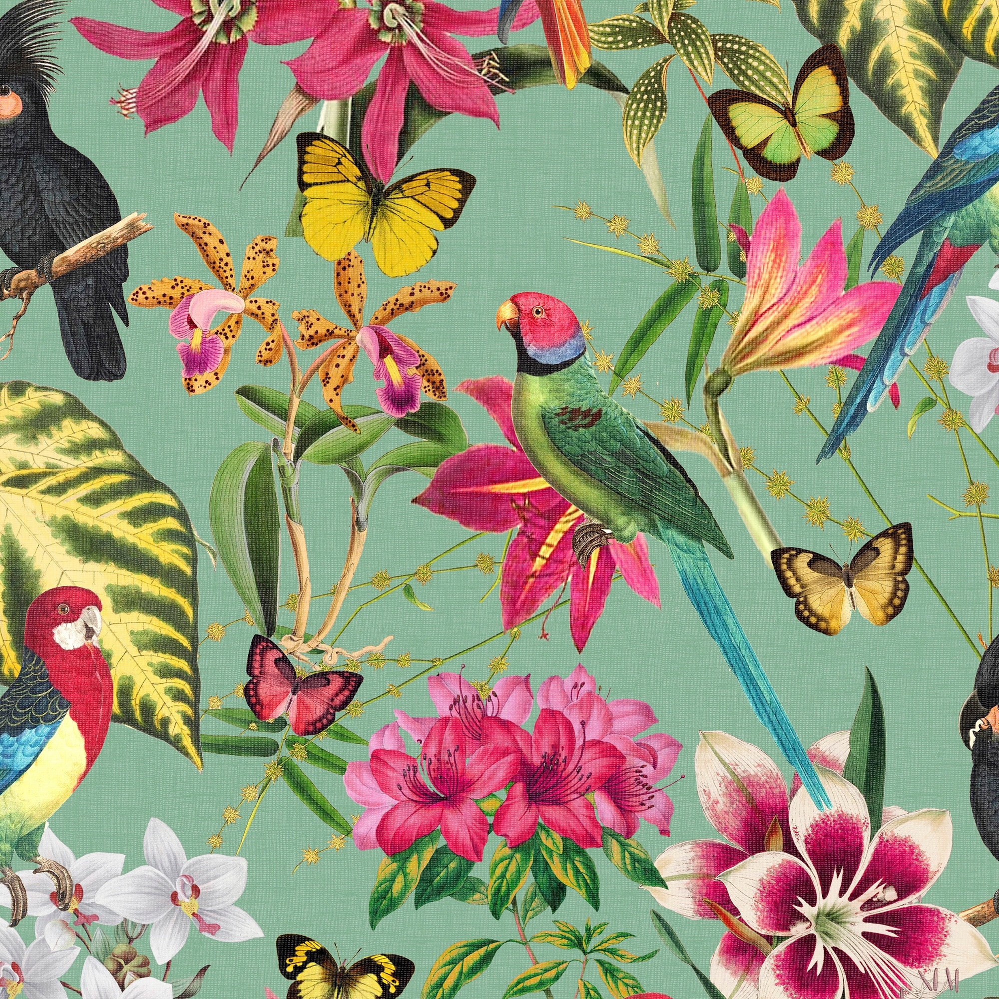 Envy Paradiso Multi Wallpaper