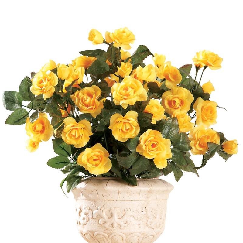 Floral Rose Bushes - Set of 3