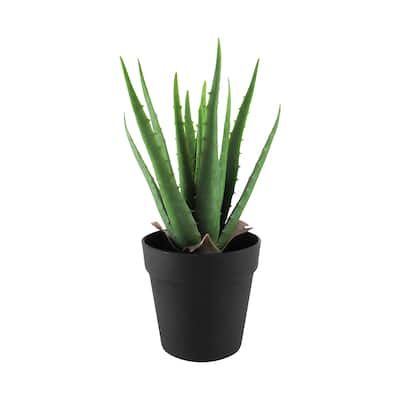 13.5in Artificial Real Touch Soft Aloe Succulent Plant in Black Pot - 13.5" H x 9" W x 9" DP