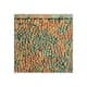 Option Copper Fantasy