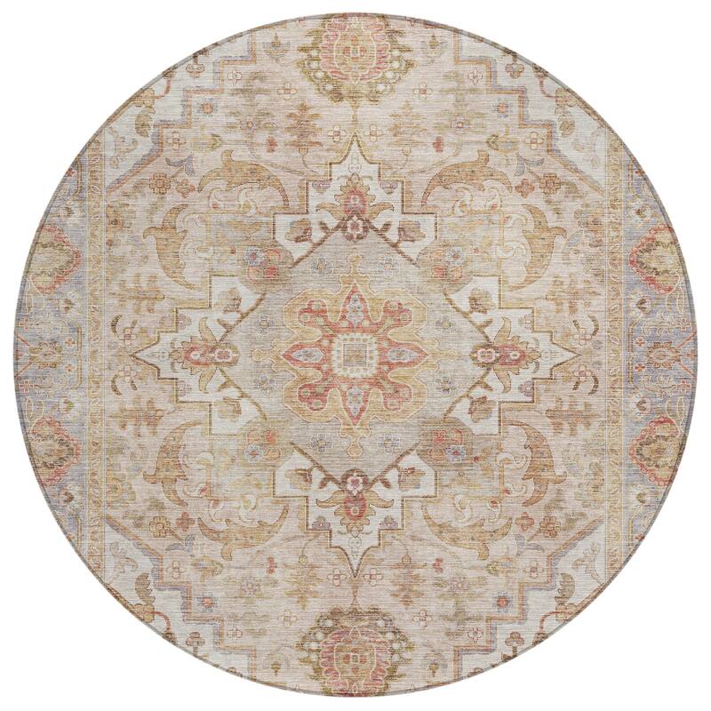 Machine Washable Indoor/Outdoor Traditional Vintage Chantille Rug
