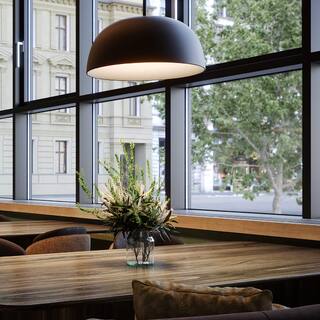 Napa 20 Inch 2-in-1 LED Flush Mount Pendant