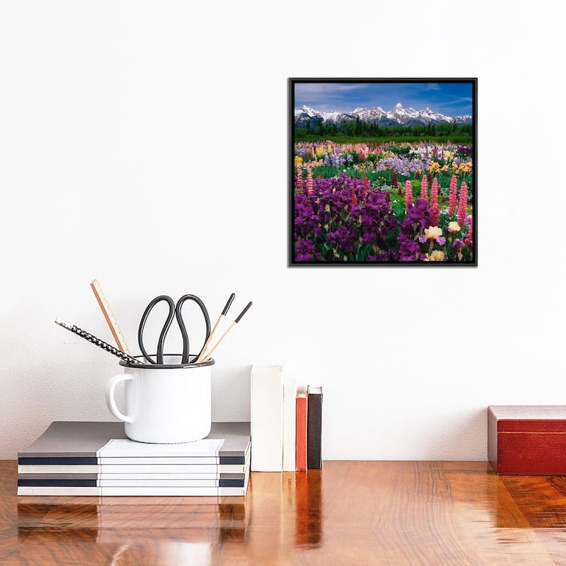 iCanvas "Iris & Lupine Field, Grand Teton National Park, Teton County, Wyoming, USA" by Adam Jones Framed