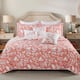 Option Coral