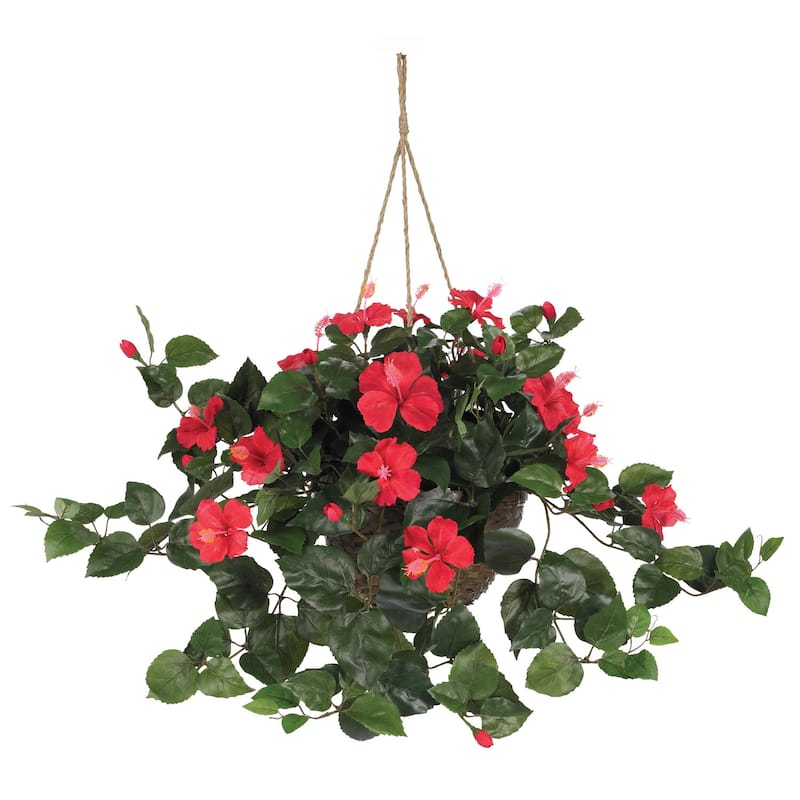 Hibiscus Hanging Basket - Vibrant Flower Display for Home & Office Decor