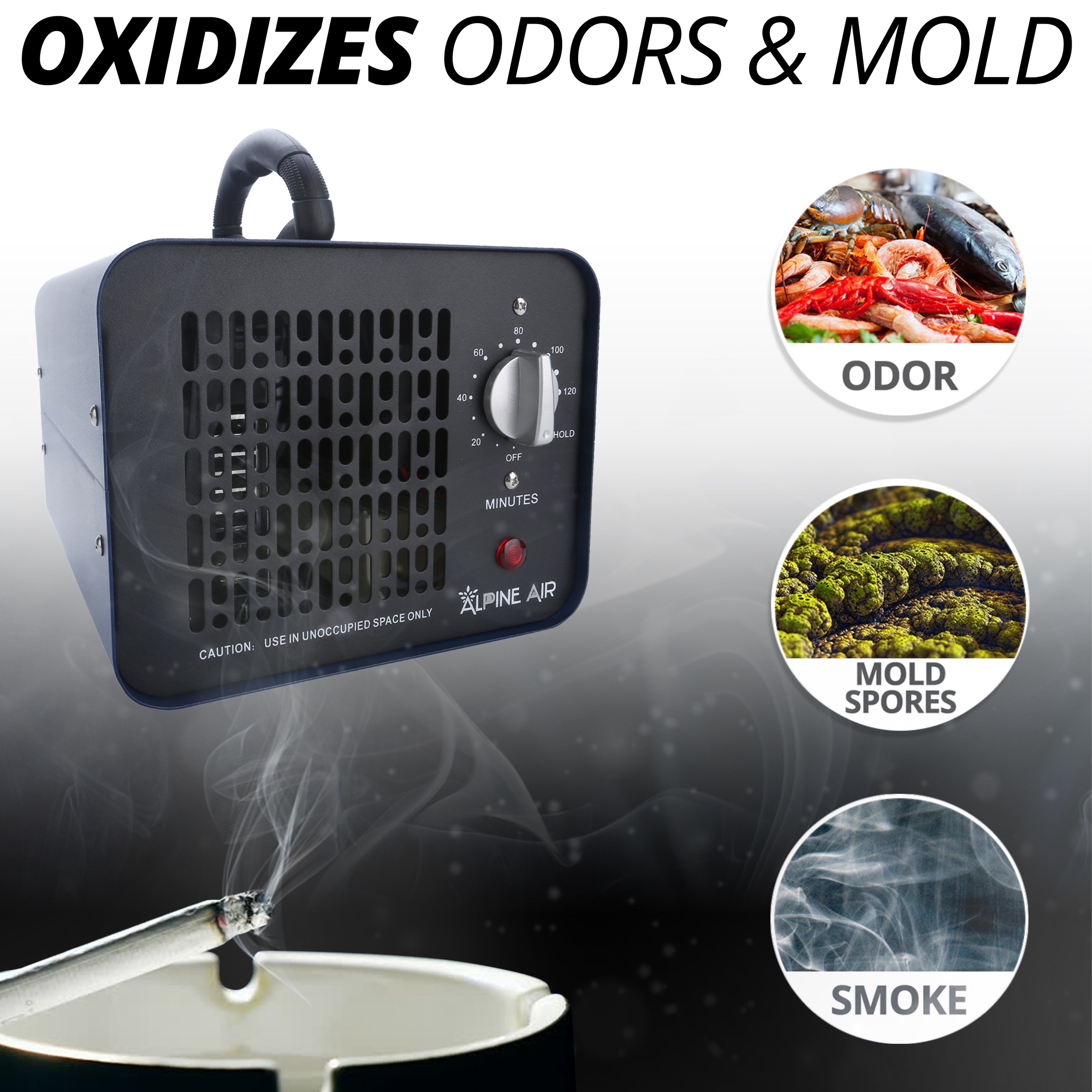 Alpine air cheap commercial ozone generator