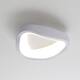Option White
