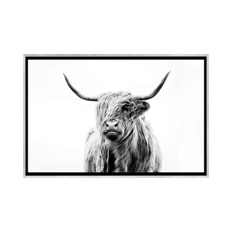 iCanvas "Portrait Of A Highland Cow" by Dorit Fuhg Framed
