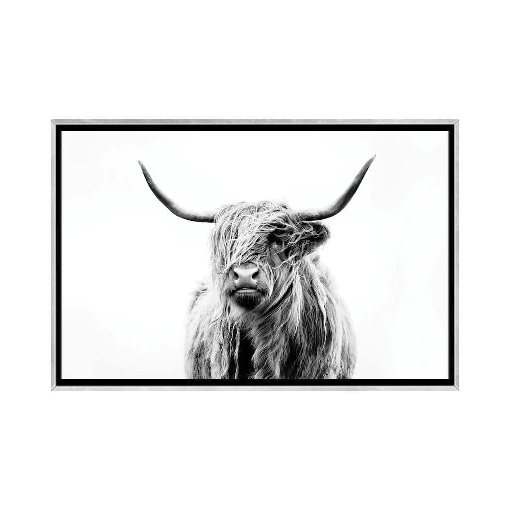 iCanvas "Portrait Of A Highland Cow" by Dorit Fuhg Framed