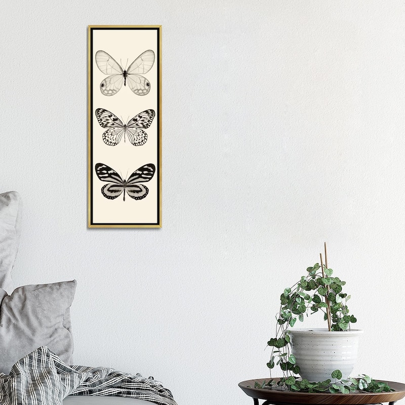 iCanvas "Butterfly Panel II In B&W" by Debra Van Swearingen Framed Canvas Print