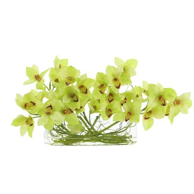 Cymbidium Orchid a with Vine in a Glass Vase