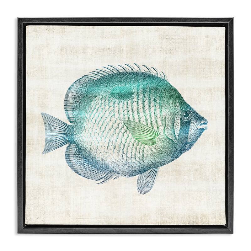 Stupell Fish Impression Sea Life Framed Floater Canvas Wall Art Design By Susan Arnot - 18 x 18 - Black