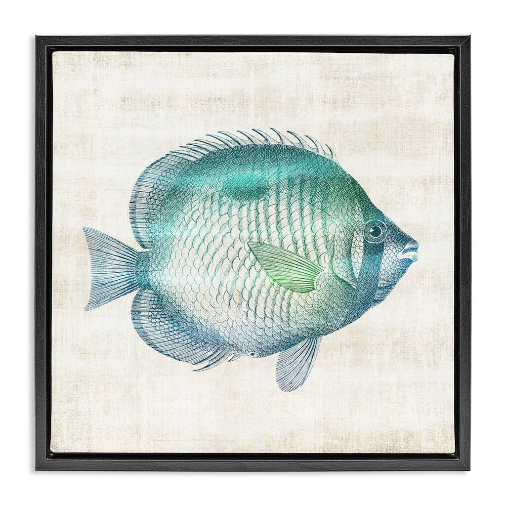 Stupell Fish Impression Sea Life Framed Floater Canvas Wall Art Design By Susan Arnot
