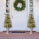 Option 2PK 4FT Tree with Silver Pot