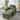 GDFStudio Classic Corduroy Club Chair with Ottoman