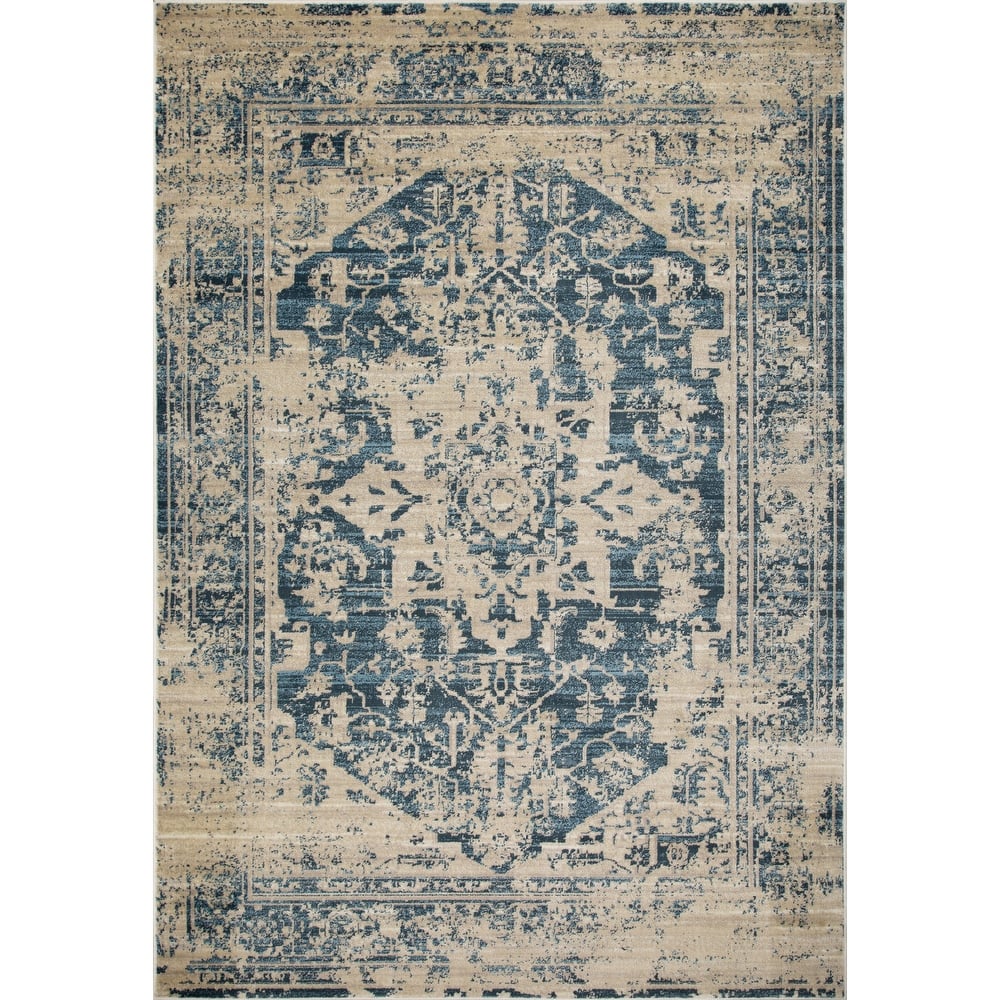 Domani Chandra Distressed Boho Traditional Rug