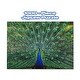 preview thumbnail 3 of 2, Peacock Plume Wild Zoo Animal 1000 Piece Jigsaw Puzzle