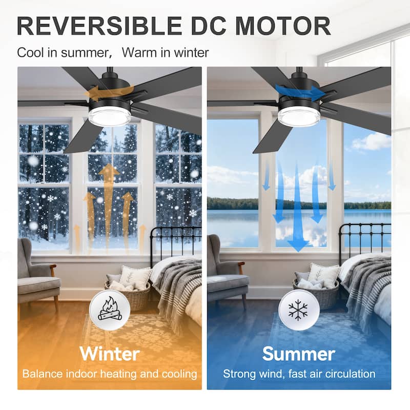 52" Modern Black Reversible 5-Blade Clear Acrylic Lens Ceiling Fan with Light and Remote