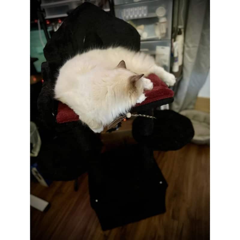 Triking Gothic Design Black Gothic Cat Tree,Easy Installation