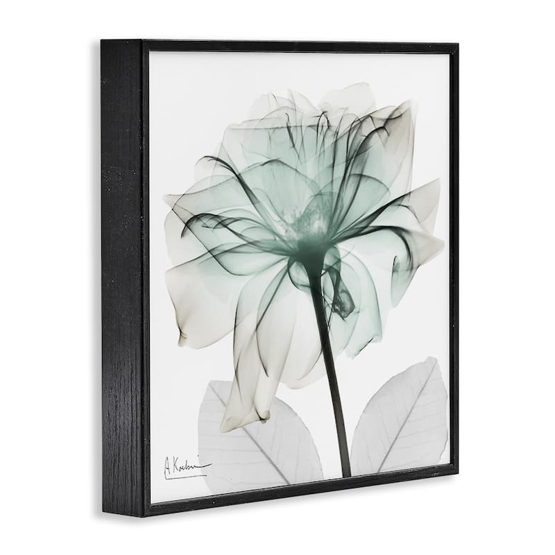 Stupell Unique Chic Flower Petal Framed Giclee Art Design By Albert Koetsier