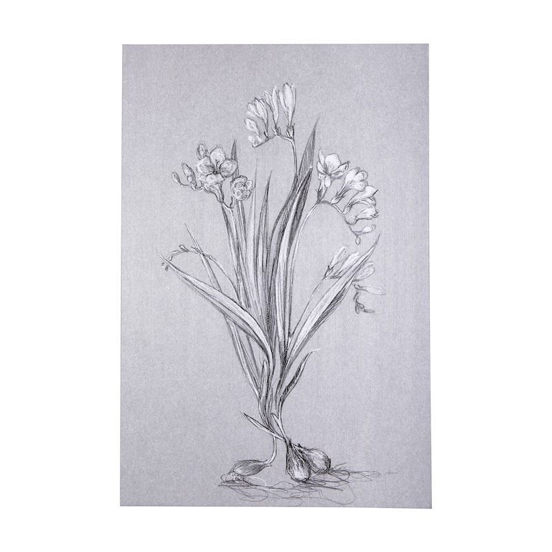 Botanical Sketches III (Grey) (40 x 60) Canvas Art Print - Large