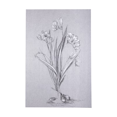 Botanical Sketches III (Grey) (40 x 60) Canvas Art Print