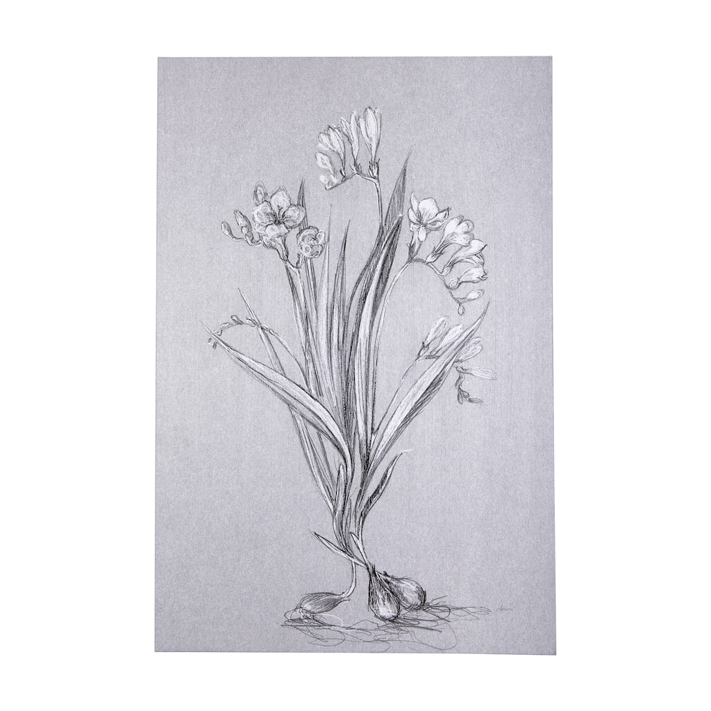 Botanical Sketches III (Grey) (40 x 60) Canvas Art Print